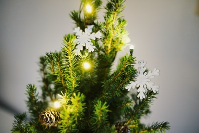 浅焦点摄影的绿色与白色的雪花装饰圣诞树
